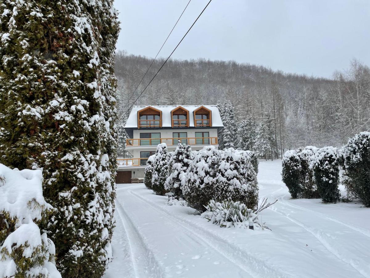 Harley Family Apartament Muszyna Zewnętrze zdjęcie
